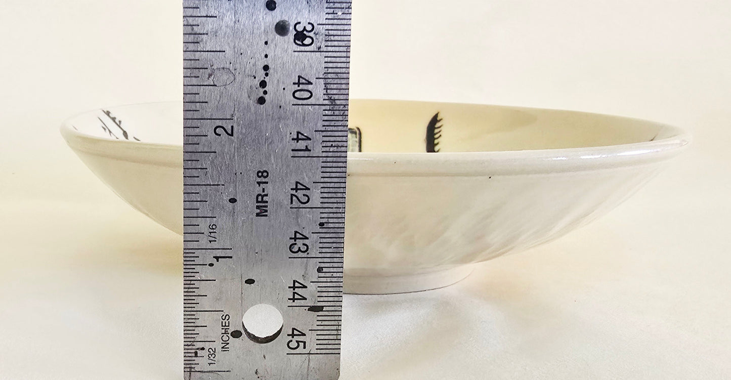 Stoneware Bowl – Dragonfly Sgraffito & Underglaze Design